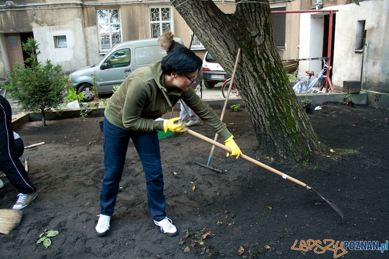 Odmień swoje podwórko_realizacja_Jeżyce  Foto: Ewelina Gutowska