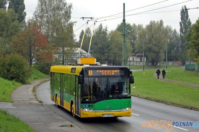 Solaris Trollino w Tychach  Foto: materiały prasowe