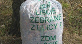 ZDM – liście zebrane z ulicy  Foto: ZDM