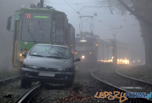 Aleja Wielkopolska - samochód na torowisku  Foto: MPK