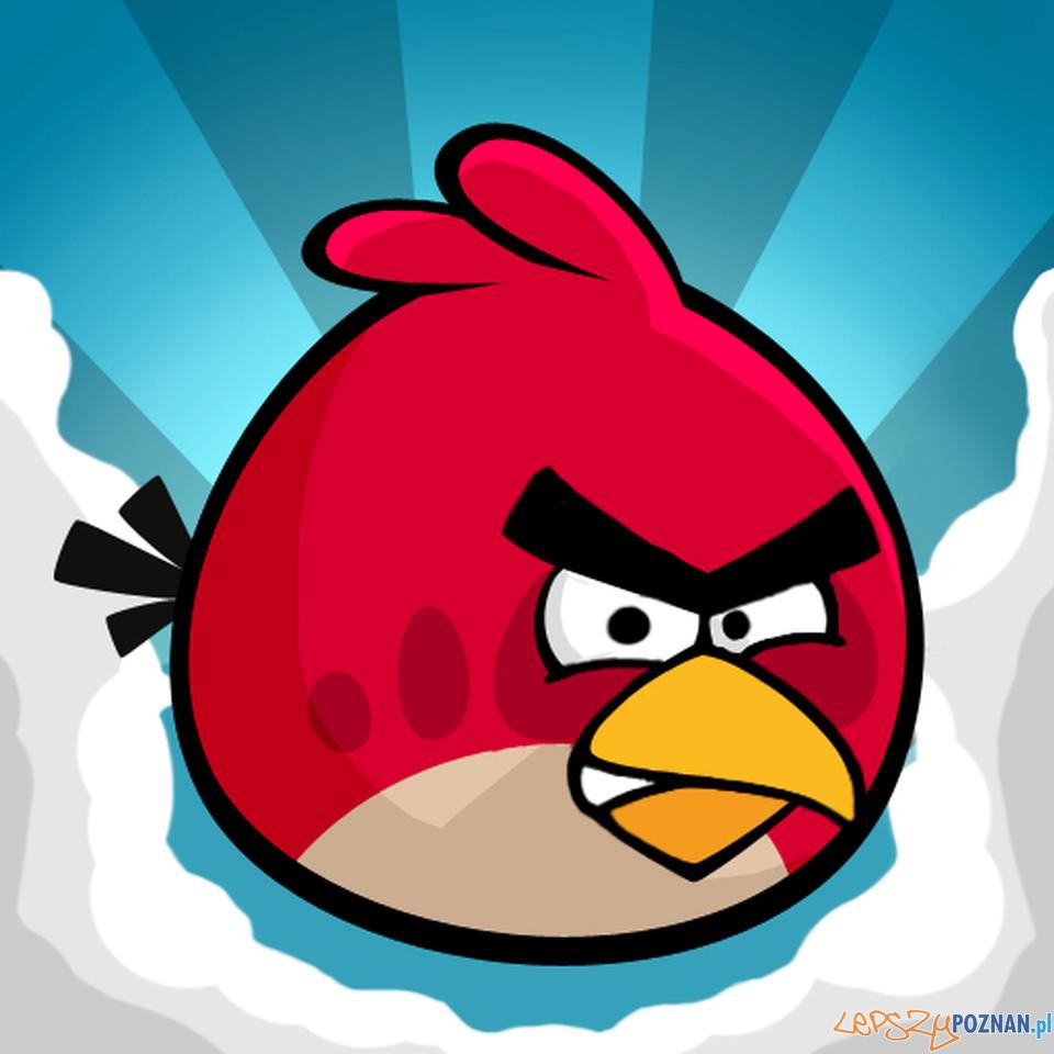 Angry Birds  Foto: Angry Birds