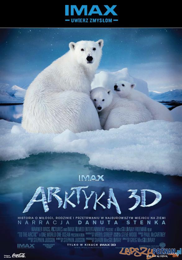 IMAX_Arktyka 3D  Foto: IMAX_Arktyka 3D