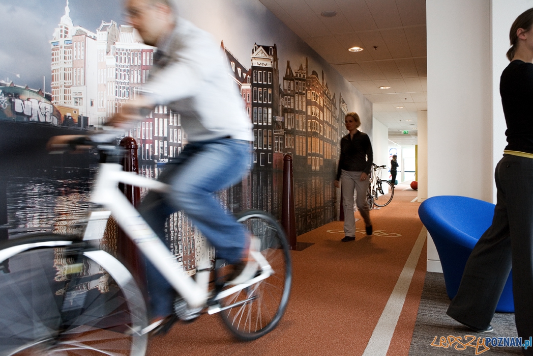 Rowerowy hall w biurze Google'a w Holandii  Foto: Google