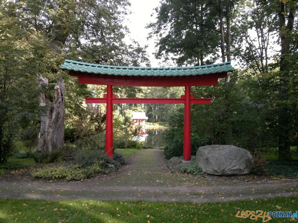 Ogród Japoński w Pałacu w Mierzęcinie  Foto: TD