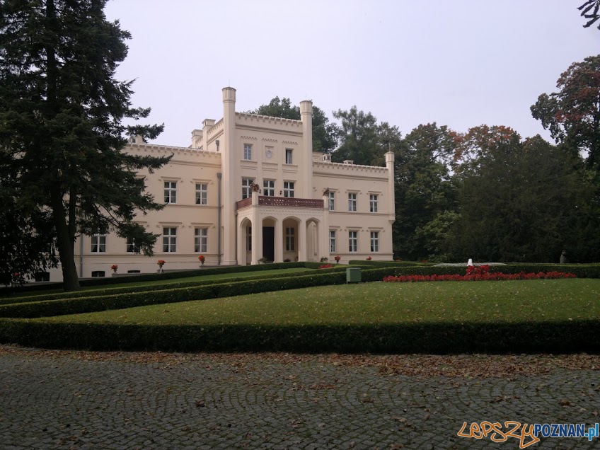 Pałac w Mierzęcinie (2)  Foto: TD