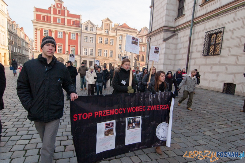 STOP transportom śmierci - Poznań 02.12.2012 r.  Foto: LepszyPOZNAN.pl / Paweł Rychter