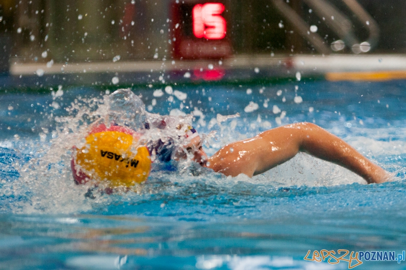 KS Waterpolo Poznań - Arkonia Szczecin 10:17  Foto: LepszyPOZNAN.pl / Paweł Rychter