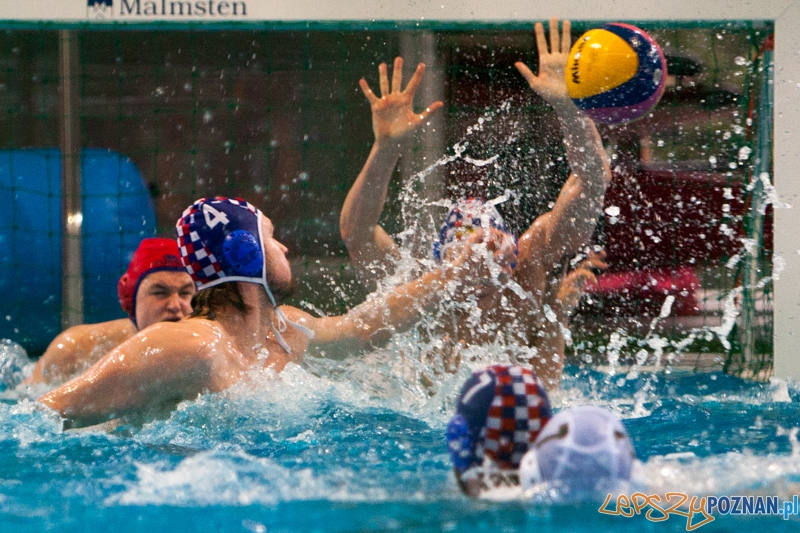 KS Waterpolo Poznań - Arkonia Szczecin 10:17  Foto: LepszyPOZNAN.pl / Paweł Rychter