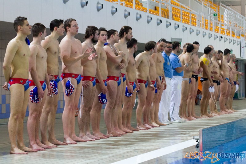 KS Alstal Waterpolo Poznań - Arkonia Szczecin - Termy Maltańskie 9.02.2013 r.  Foto: lepszyPOZNAN.pl / Piotr Rychter