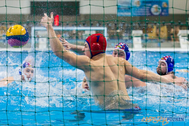 KS Alstal Waterpolo Poznań - Arkonia Szczecin - Termy Maltańskie 9.02.2013 r.  Foto: lepszyPOZNAN.pl / Piotr Rychter