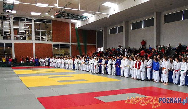 Pucharu Polski w Judo Suchy Las 2013  Foto: 