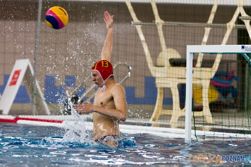 Alstal Waterpolo Poznań - Legia Warszawa 12:4 - Poznań 28.04.2013 r.  Foto: LepszyPOZNAN.pl / Paweł Rychter