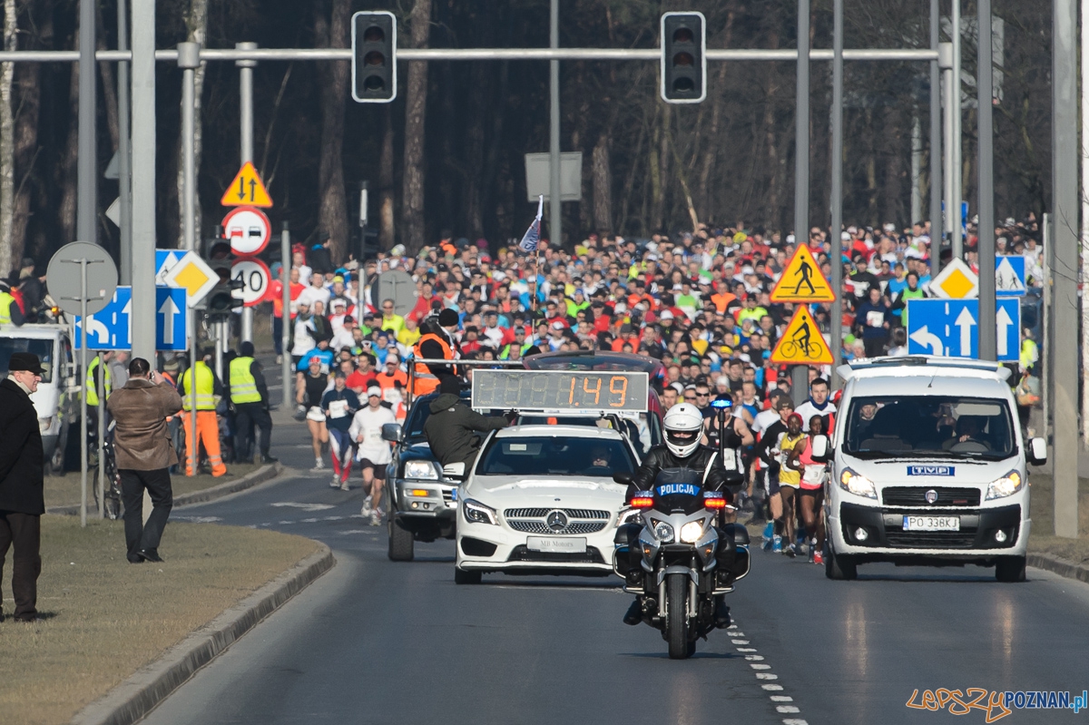 6 tysięcy biegaczy na 6 Poznańskim Półmaratonie  Foto: Jakub Kaczmarczyk