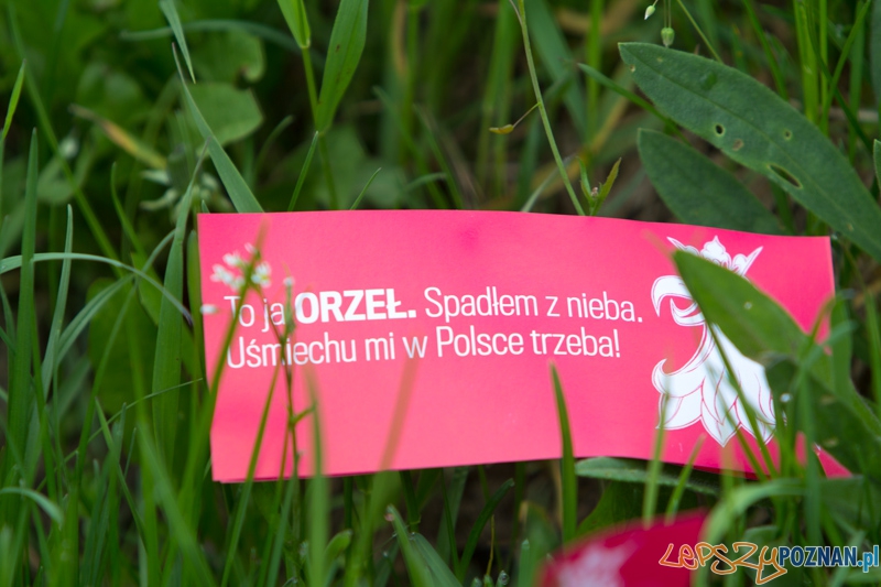 Akcja społeczna - "Orzeł Może"  Foto: lepszyPOZNAN.pl / Piotr Rychter