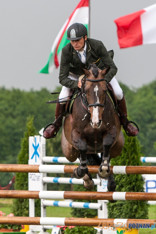 IV Memoriał Macieja Frankiewicza CSI**** - Poznań 08.06.2013 r.  Foto: LepszyPOZNAN.pl / Paweł Rychter