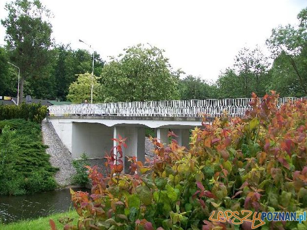Mostek na Cybinie  Foto: dziadek-radek/panoramio
