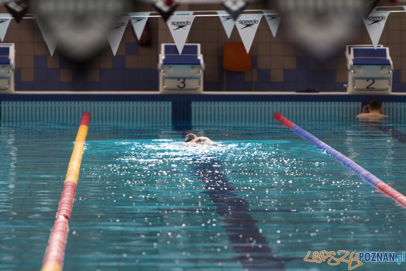 9 runda Mistrzostw Polski Seniorów w piłce wodnej - Alstal Waterpolo Poznań - ŁSTW Uniwersytet Łódzki  Foto: lepszyPOZNAN.pl / Piotr Rychter