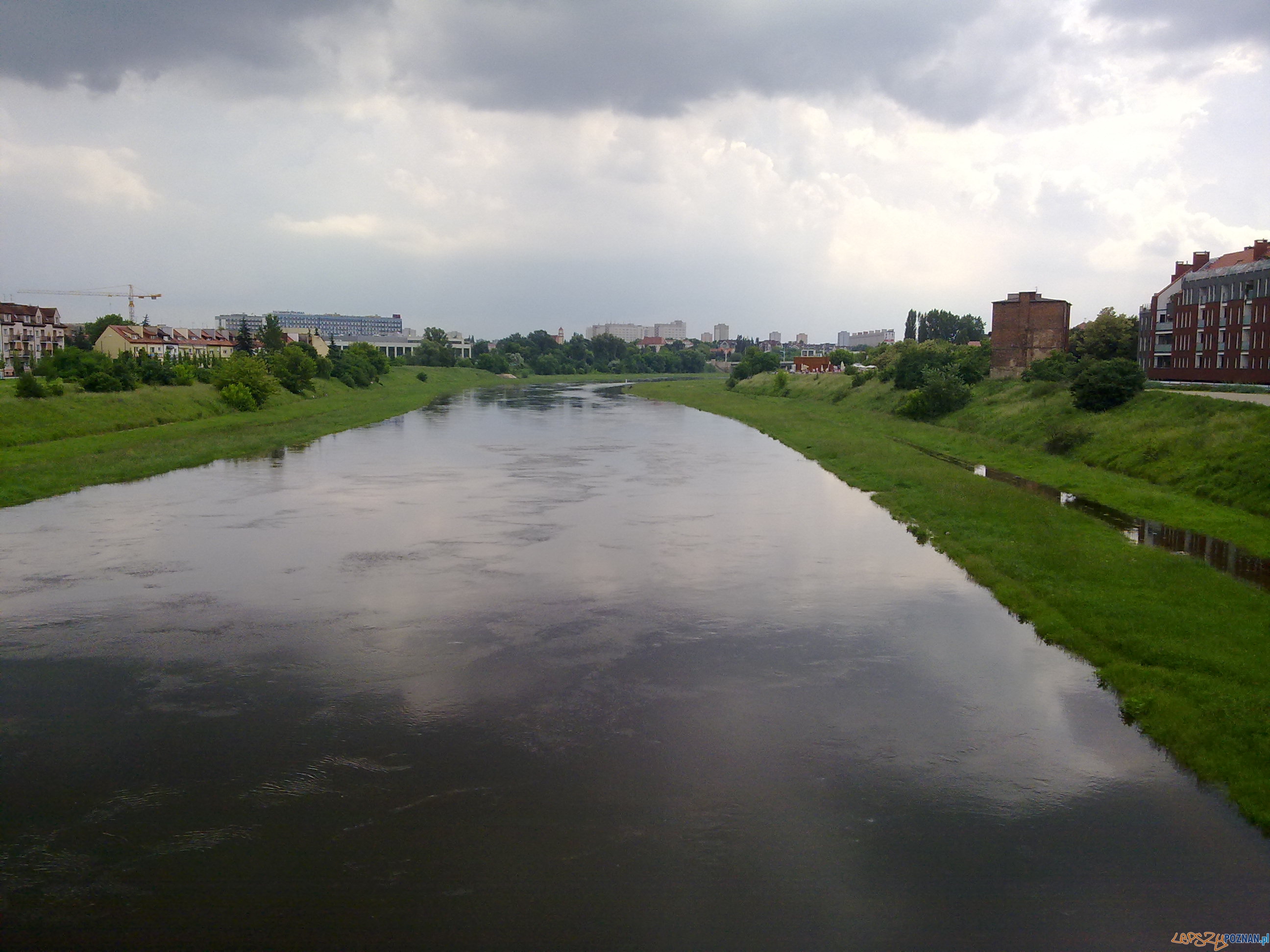 Rzeka Warta - czerwiec 2013  Foto: 
