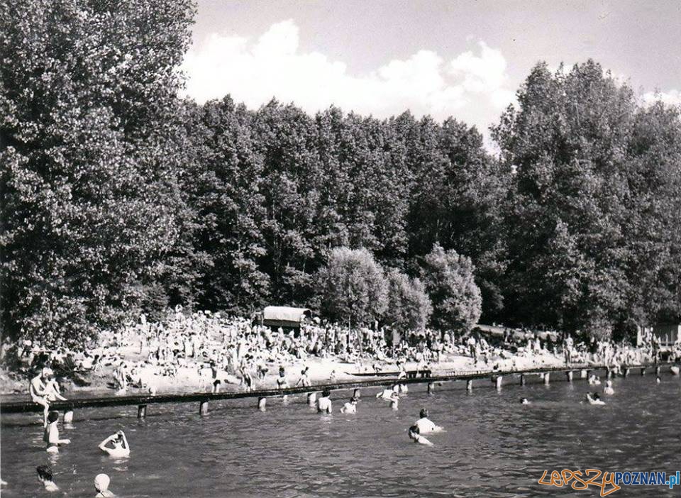 Kąpielisko w Kiekrzu - 1965 rok  Foto: Kąpielisko w Kiekrzu - 1965 rok