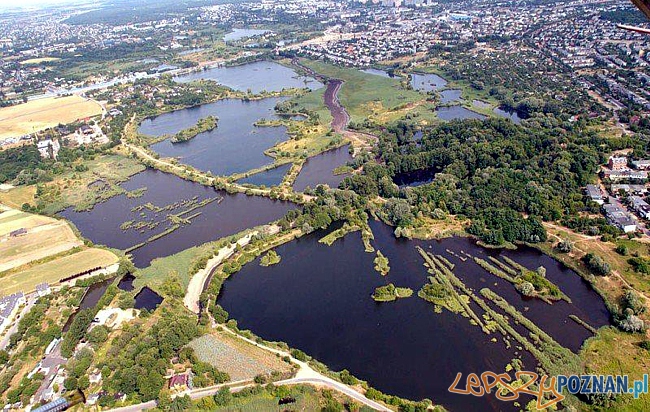 Glinianki na Świerczewie  Foto: Rada Osiedla Swierczewo