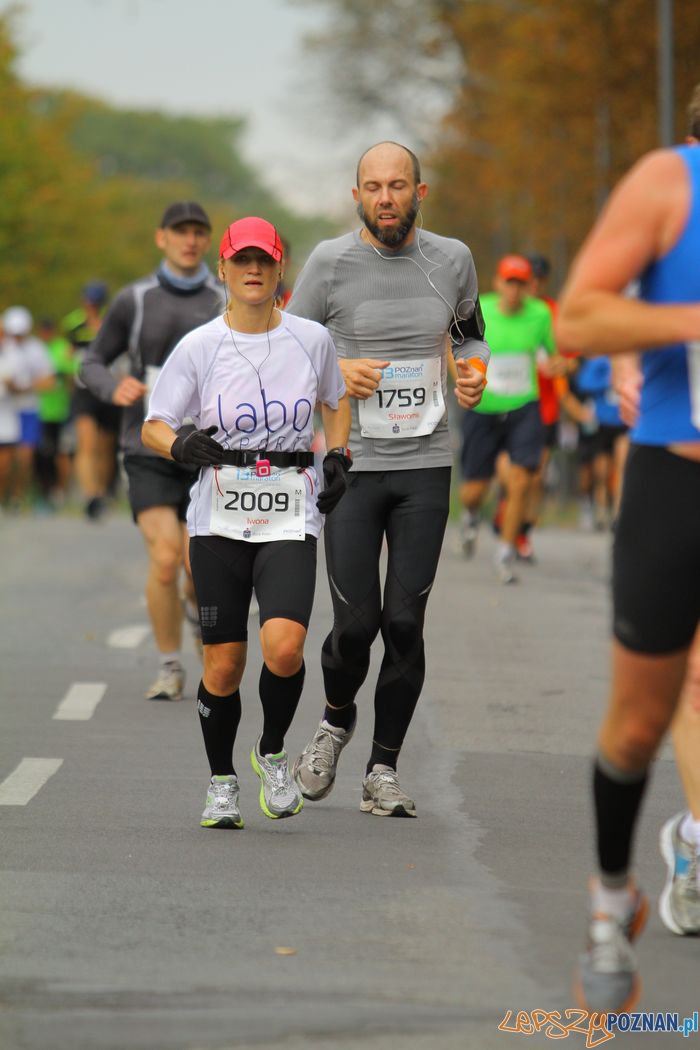 Iwona Guzowska na trasie 13. Poznań Maraton  Foto: materiały prasowe