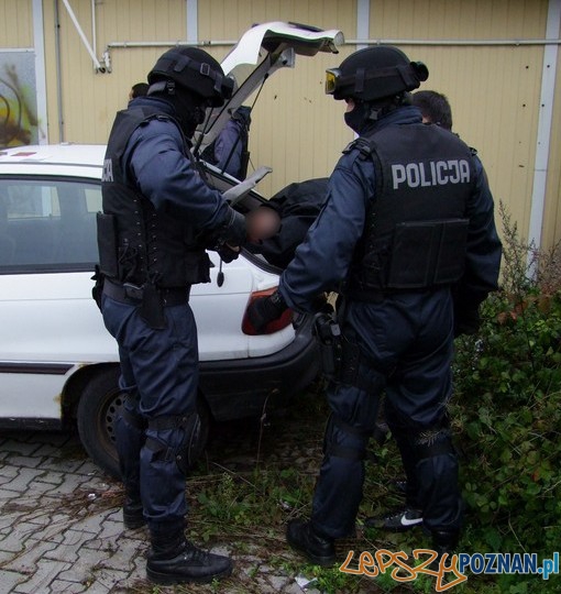 Policja zatrzymała sutenerów (4)  Foto: materiały policji 