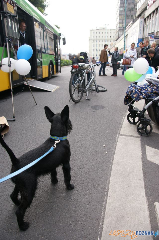 Tydzień bez samochodu  Foto: UMP