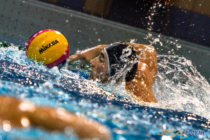 PP: DSW Waterpolo Poznań - Arkonia Szczecin 13:9 - Poznań 05.10.2013 r.  Foto: LepszyPOZNAN.pl / Paweł Rychter