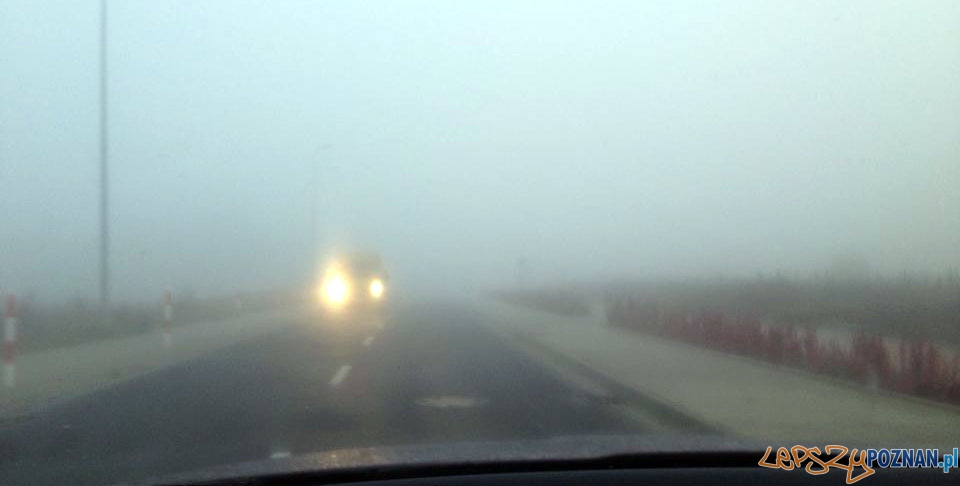Poranna mgła  Foto: Bartek