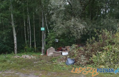Śmieci przy ulicy Wrzesńskiej  Foto: Straż Miejska