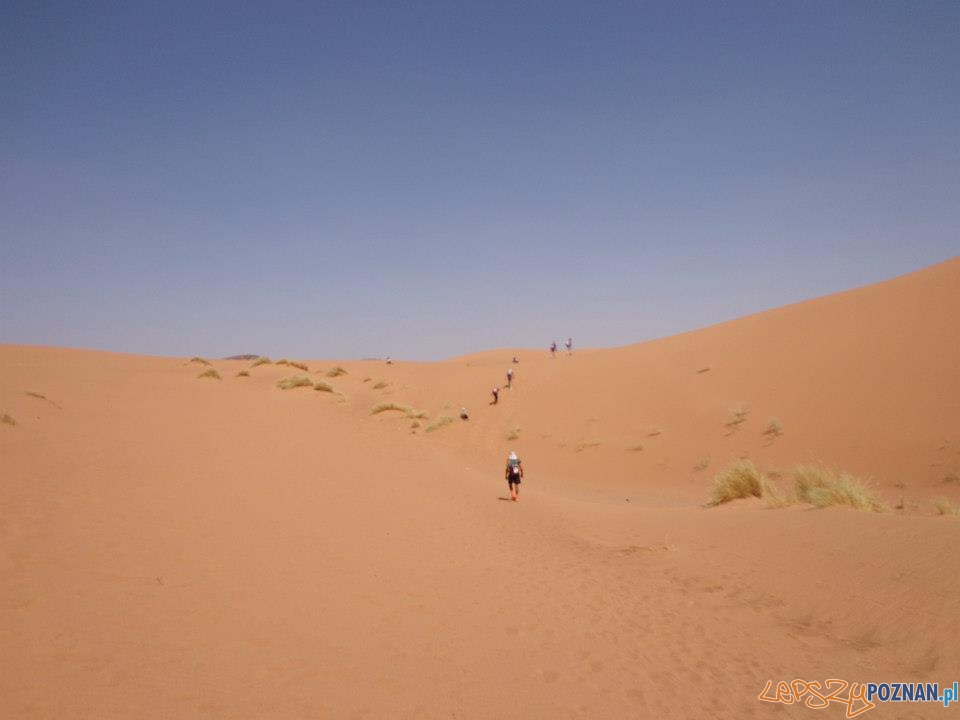 Wybiegaj marzenia  Foto: 