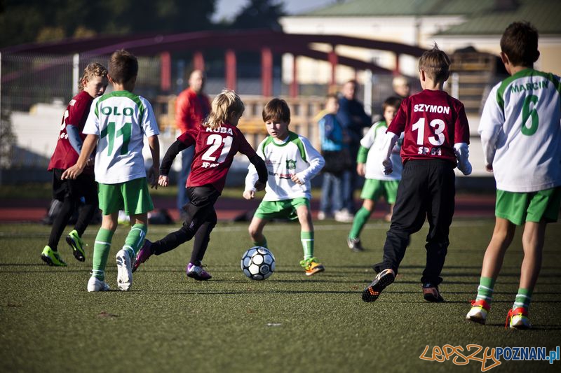 Liga Koziołka  Foto: Łukasz Bigus