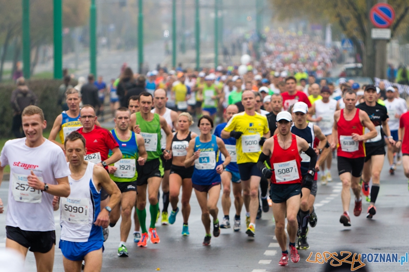 14. Poznań Marathon  Foto: lepszyPOZNAN.pl / Piotr Rychter