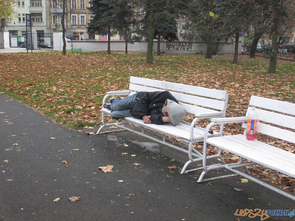 Bezdomny w parku  Foto: czytelnik