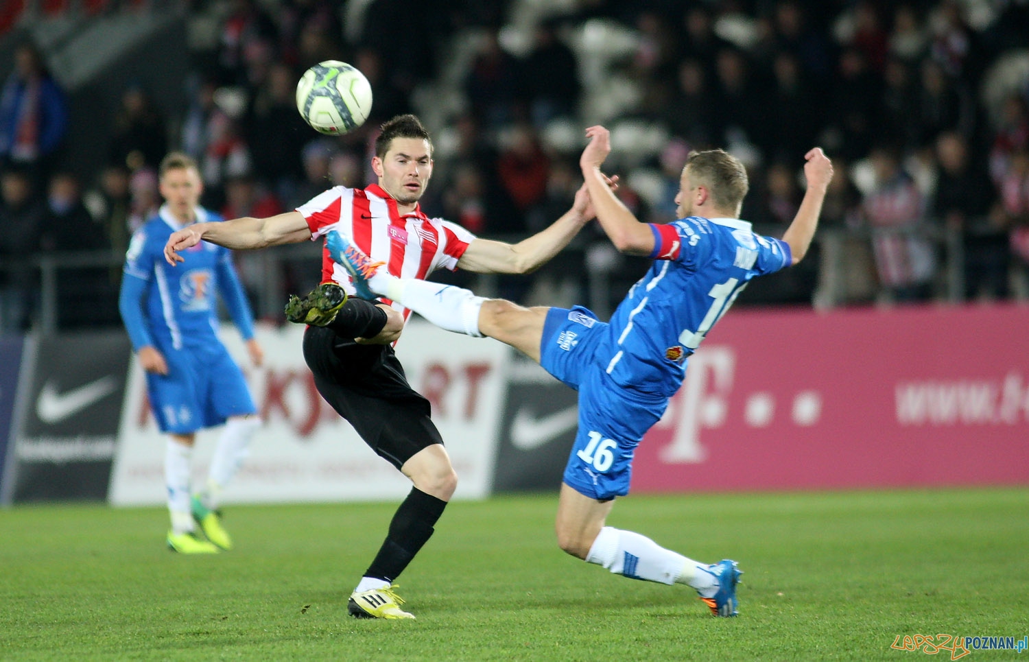 Cracovia - Lech Poznań 1:6 - Kraków 25.11.2013 r.  Foto: X-News