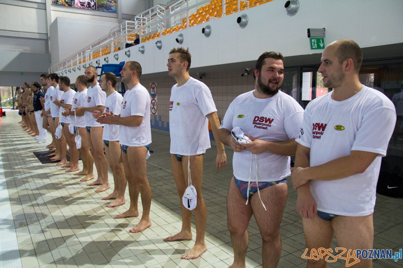 DSW Waterpolo Poznań - WTS Bytom, Termy Maltańskie 24.11.2013 r.  Foto: lepszyPOZNAN.pl / Piotr Rychter