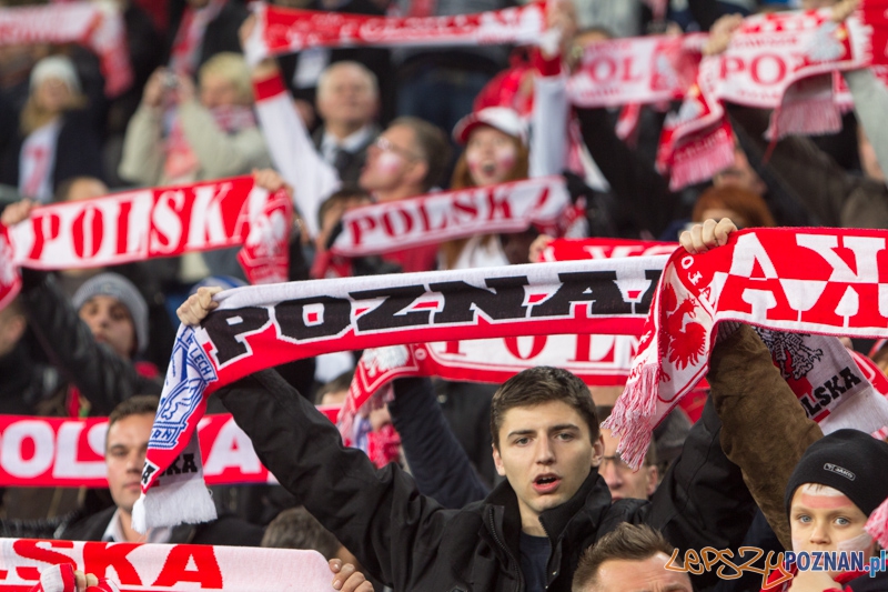 Mecz towarzyski Polska - Irlandia, Poznań Inea Stadion - 19.11.2013 r.  Foto: lepszyPOZNAN.pl/  Piotr Rychter