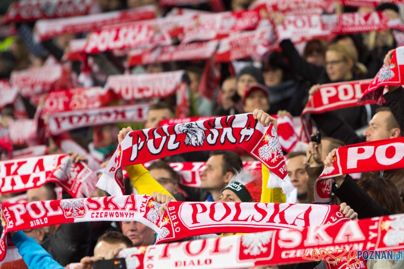 Mecz towarzyski Polska - Irlandia, Poznań Inea Stadion - 19.11.2013 r.  Foto: lepszyPOZNAN.pl/  Piotr Rychter