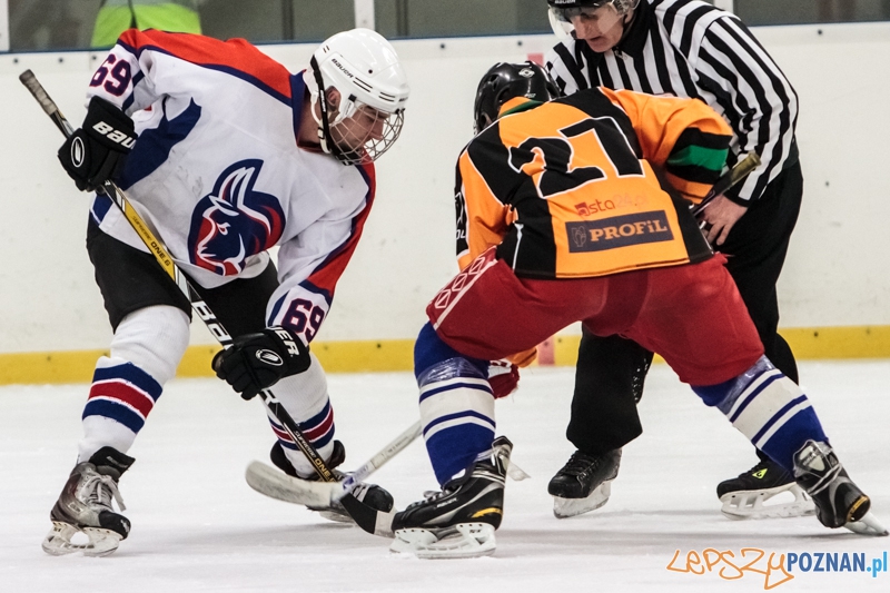 PTH Poznań - Żółwie Piła 4:6 - Poznań 25.01.2014 r.  Foto: LepszyPOZNAN.pl / Paweł Rychter