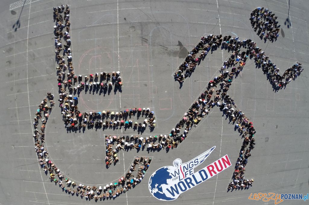 Wings for Life World Run  Foto: Cacalos Carrastazu