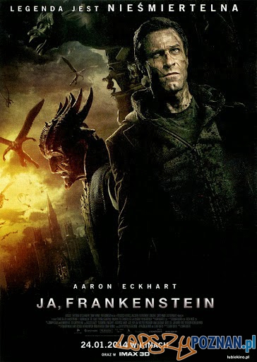 Ja, Frankenstein  Foto: materiały prasowe