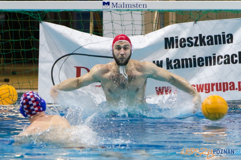 DSW Waterpolo Poznań - Arkonia Szczecin (Mikhail Yazerski)  Foto: lepszyPOZNAN.pl / Piotr Rychter