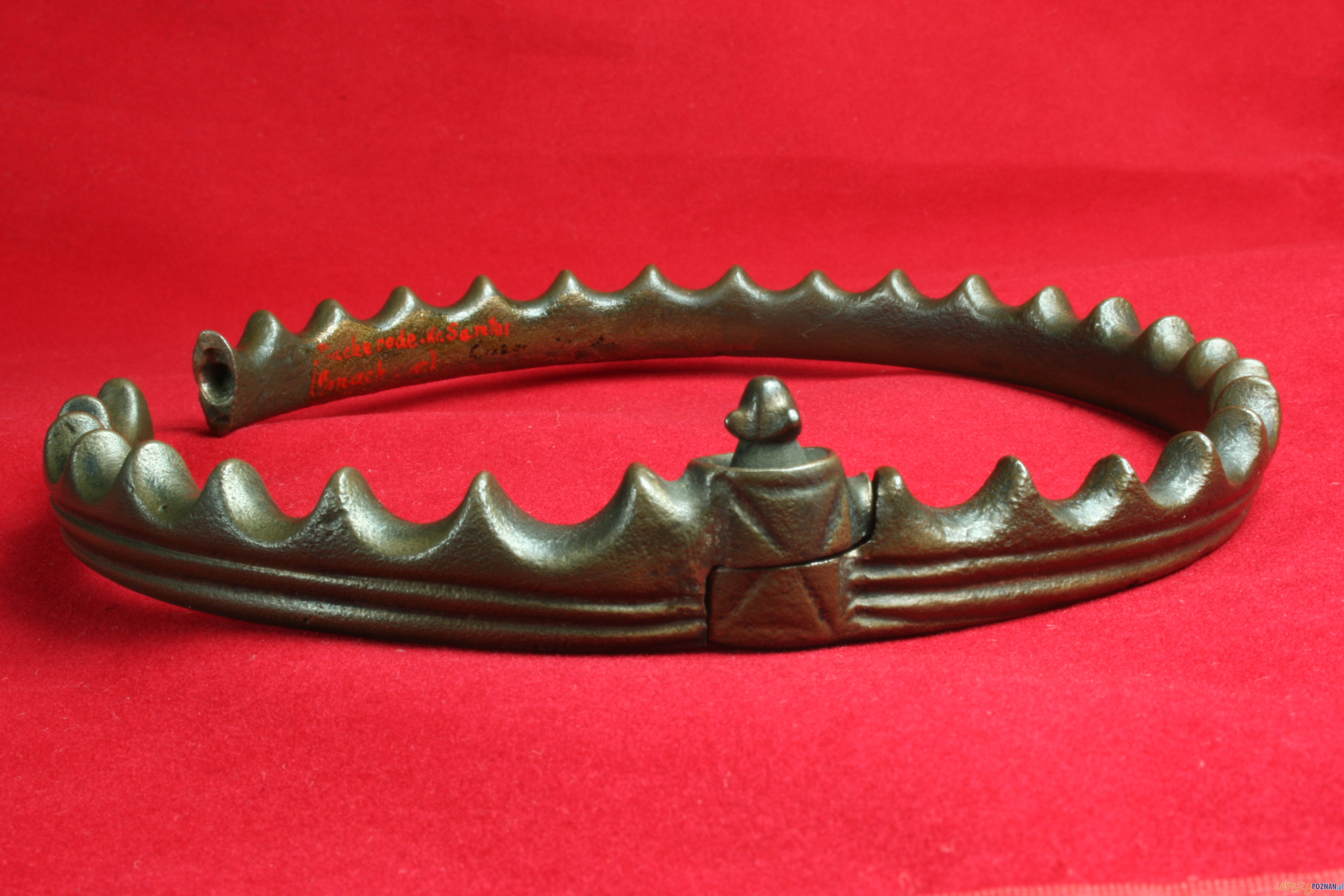 Korona - diadem z Muzeum Archeologicznego  Foto: Klaudyna_Kucharska