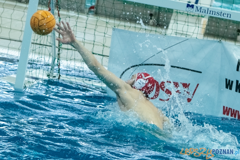 DSW Waterpolo Poznań - Arkonia Szczecin 14:13 - Poznań 12.01.2014 r.  Foto: LepszyPOZNAN.pl / Paweł Rychter