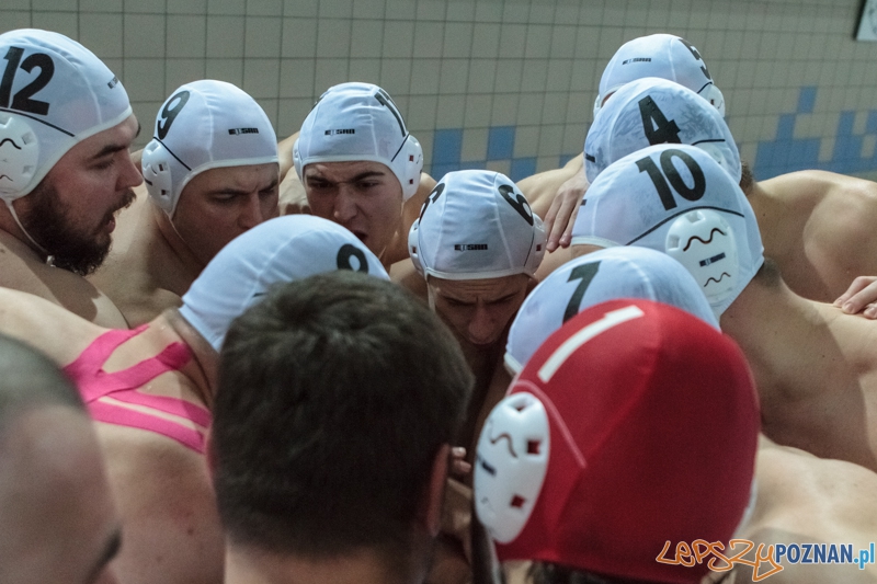 DSW Waterpolo Poznań - Arkonia Szczecin 14:13 - Poznań 12.01.2014 r.  Foto: LepszyPOZNAN.pl / Paweł Rychter