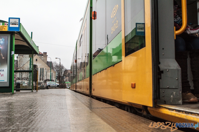 Gołoledź w mieście - Poznań 19.01.2014 r.  Foto: LepszyPOZNAN.pl / Paweł Rychter