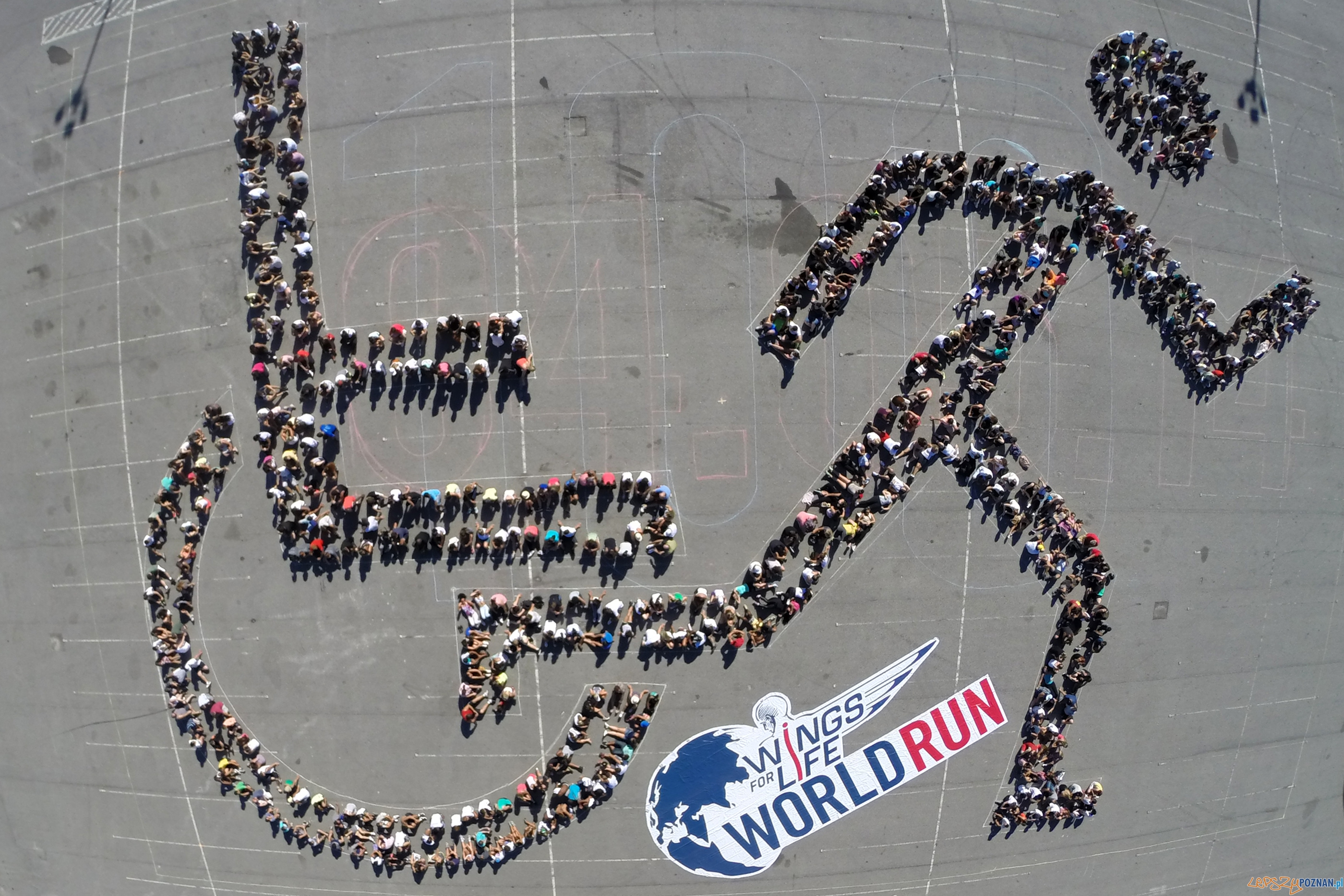 Wings for Life World Run  Foto: Cacalos Garrastazu / Red Bull Content Pool