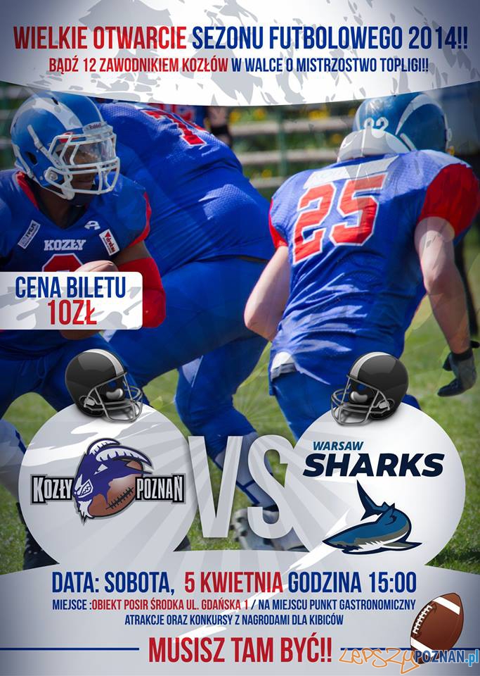 Kozły Poznań - Warsaw Sharks - 05.04.2014 r.  Foto: Kozły Poznań