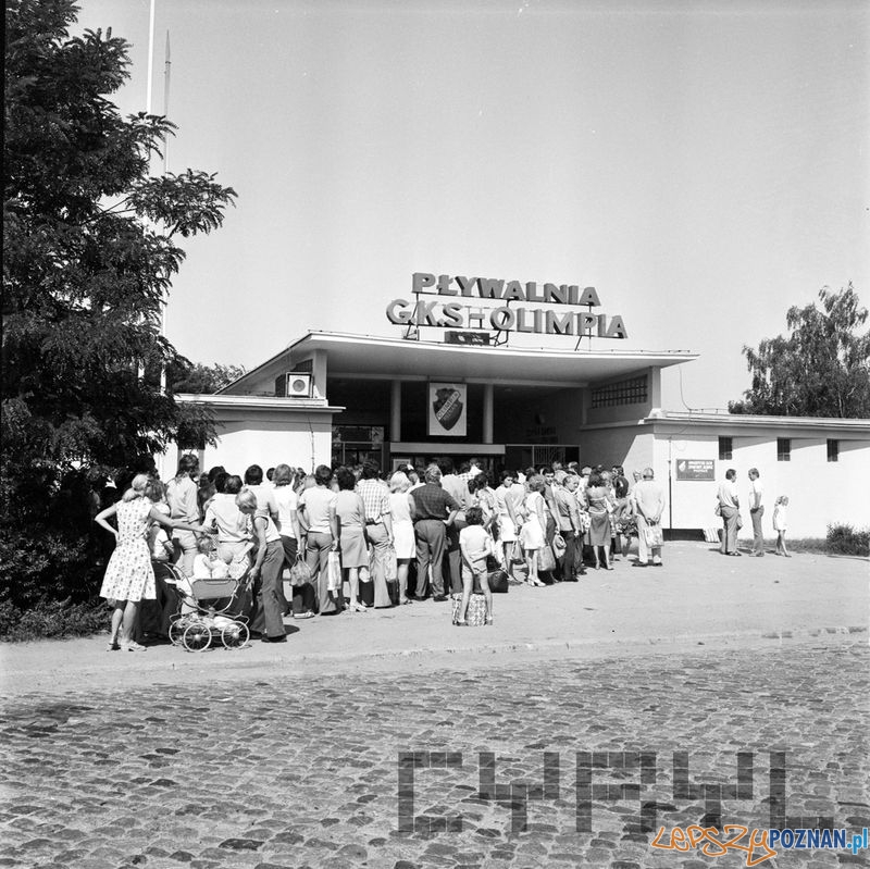 Wejście na pływalnię w Parku Kasprowicza  Foto: cyryl