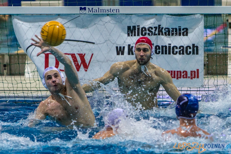 DSW Waterpolo Poznań - Pirana SC Topolčany 15:6 - Poznań 02.03.2014 r.  Foto: LepszyPOZNAN.pl / Paweł Rychter